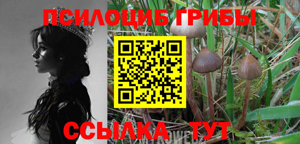 Карпинск  Псилоцибиновые грибы MAGIC MUSHROOMS  Вход с VPN 